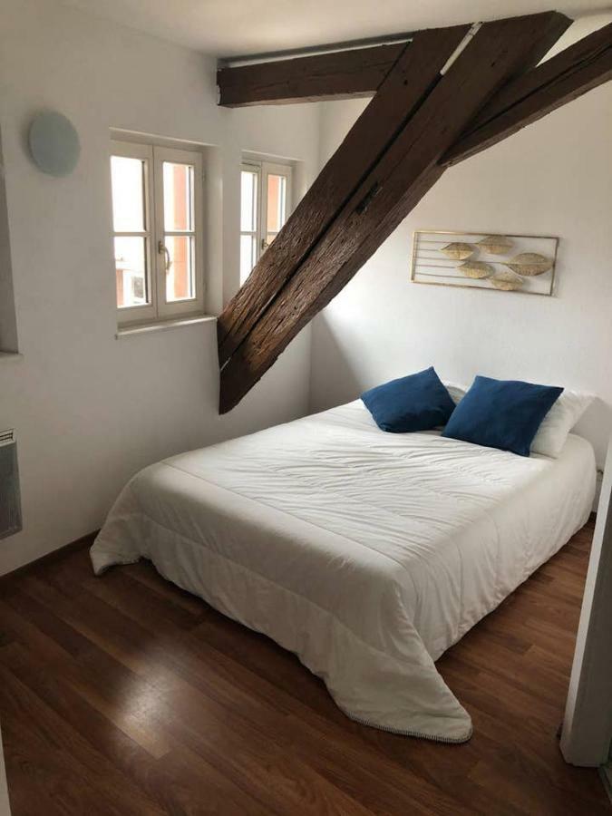 Appartement Avec Balcon Centre Ville Strasbourg Eksteriør bilde