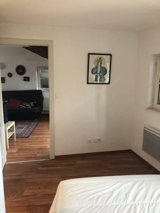 Appartement Avec Balcon Centre Ville Strasbourg Eksteriør bilde